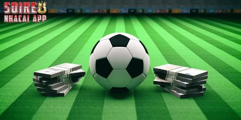 Giới thiệu Soi Kèo Nhà Cái về cách chuyên mục quan trọng