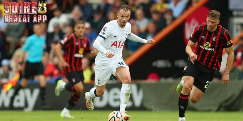 Kèo chấp nửa trái là gì?