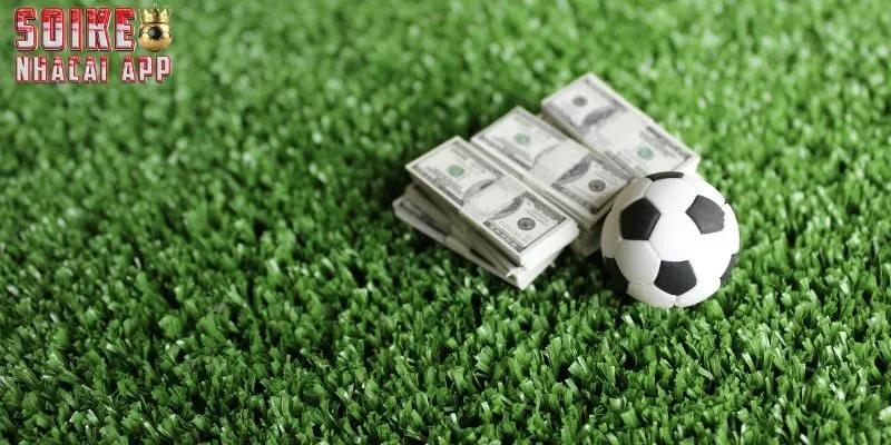 Bí kíp soi kèo chuẩn do chuyên gia nghiên cứu