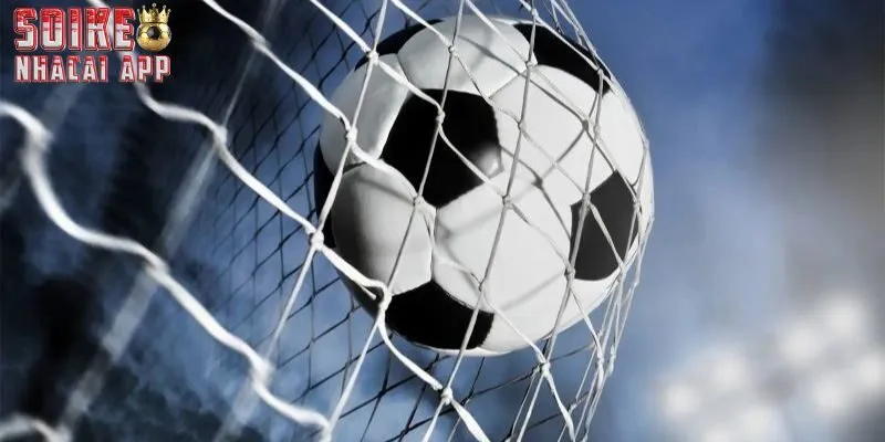 Tổng hợp khái niệm dành cho người mới