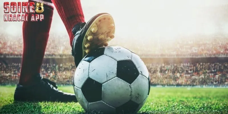 Chuyên mục sẽ mang đến các diễn biến mới nhất cho bạn