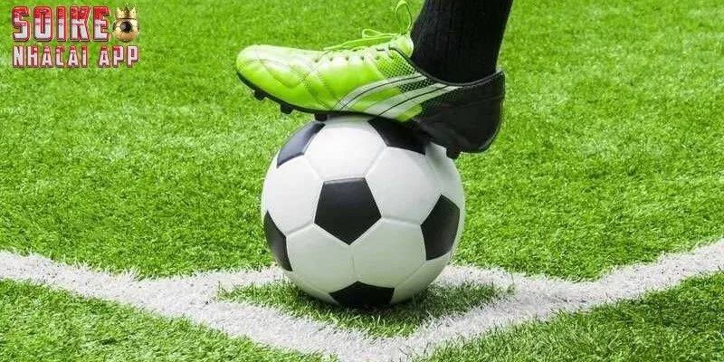 Tổng quan thông tin về kèo Handicap cho thành viên mới