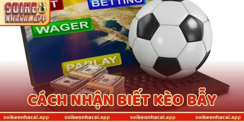 Cách Nhận Biết Kèo Bẫy Với 5 Dấu Hiệu Cảnh Báo Cực Chuẩn