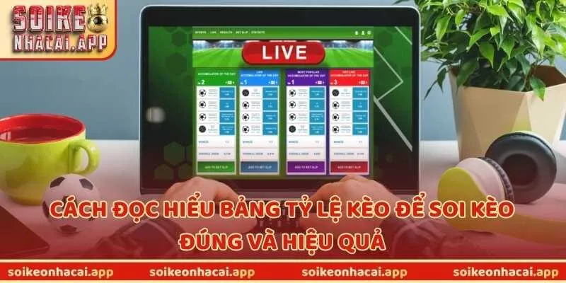 Cách đọc hiểu bảng tỷ lệ kèo để soi kèo đúng và hiệu quả