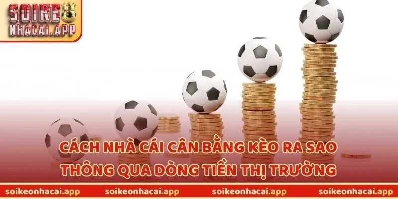 Cách nhà cái cân bằng kèo ra sao thông qua dòng tiền thị trường?