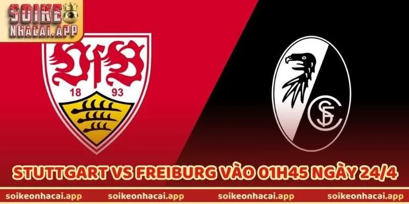 Nhận Định Bóng Đá Stuttgart Vs Freiburg Vào 01h45 Ngày 24/4